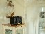 Speakers TRACER M30 TWS BT BLACK