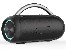 Speakers TRACER  MaxTube TWS BT BLACK