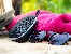 Speakers TRACER Quasar TWS BT