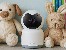 Indoor security cam FOCUS 3