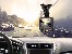 Dash cam TRACER Drivio