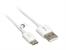 TRACER cable USB 2.0 TYPE-C A Male - C Male 1,0m