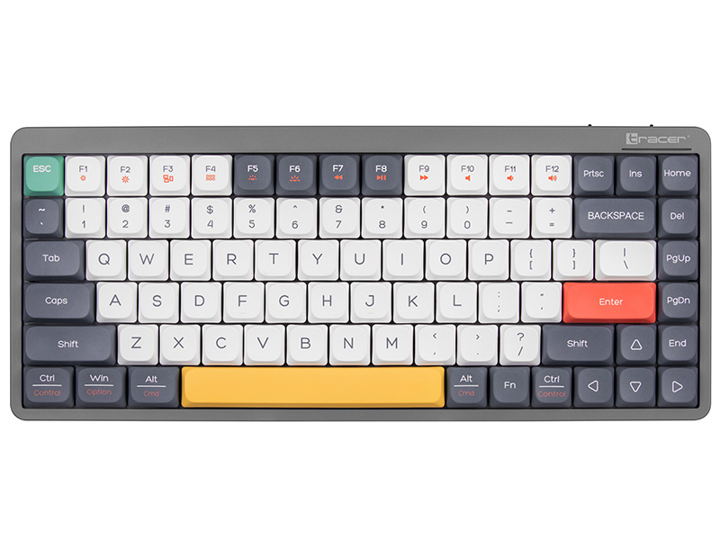 Mechanical Keyboard Tracer FINA 84 Grey (Outemu Red Switch)