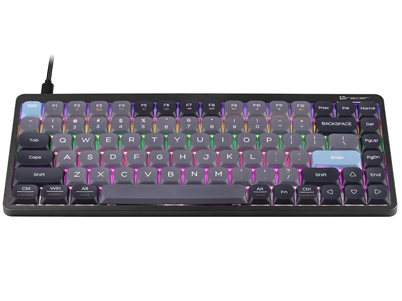 Mechanical Keyboard Tracer FINA 84 Blackcurrant (Outemu Red Switch)