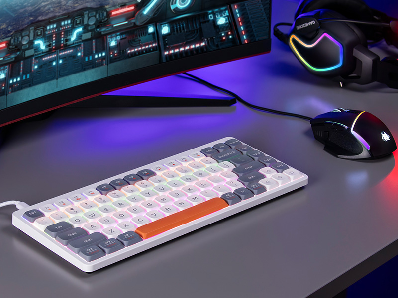 Mechanical Keyboard Tracer FINA 84 White/Grey (Outemu Red Switch)