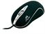 Optical mouse TRACER Rayon black TRM-118 USB