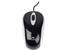 Mouse TRACER Sonya TRM-155 USB