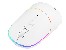 Tracer RATERO RF 2.4 GHz White wireless mouse