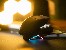 Mouse TRACER GAMEZONE NORD RGB (2.4GHz+BT) RF + Dock Station