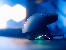 Mouse TRACER GAMEZONE NORD RGB (2.4GHz+BT) RF + Dock Station