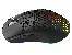 Mouse TRACER GAMEZONE INTENSE RGB Honeycomb RF (2.4G+BT)