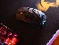 Mouse TRACER GAMEZONE INTENSE RGB Honeycomb RF (2.4G+BT)