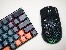 Mouse TRACER GAMEZONE INTENSE RGB Honeycomb RF (2.4G+BT)