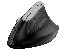 Mouse TRACER COMFORT RF (2.4GHz+BT)