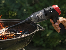 Car vacuum cleaner TRACER Dust-M B6