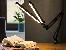 LED double drafting lamp Tracer ORION