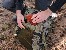 Backpack 16" Tracer Evo Camo 25L