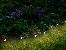 TRACER Garden solar lamp SM3